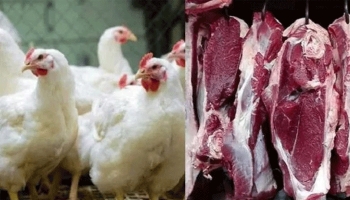 কেজিতে ৩০ টাকা বেড়েছে গরু ও মুরগির মাংসের দাম